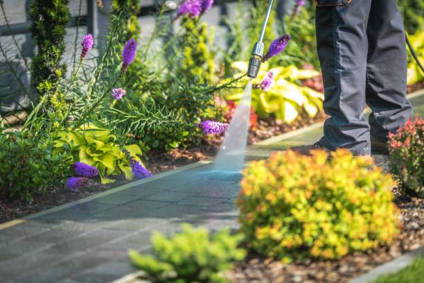 Cannon Falls, MN Pressure Washing Services Company