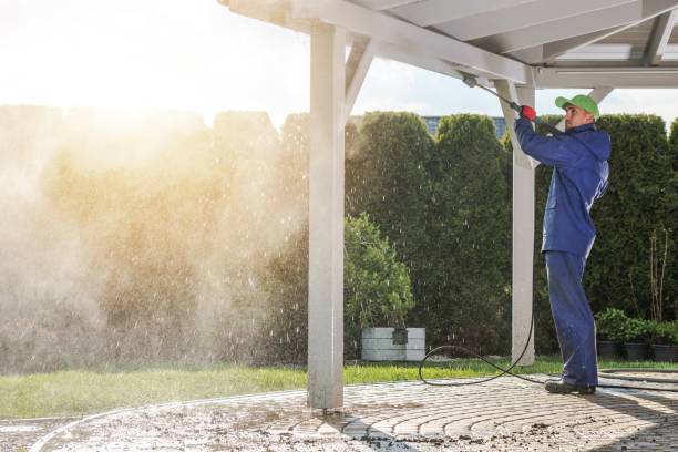 Best Restaurant Pressure Washing  in Cannon Falls, MN