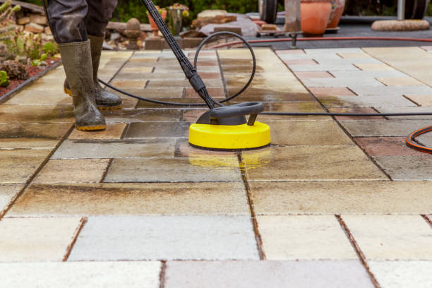 Best Sidewalk and Walkway Cleaning  in Cannon Falls, MN